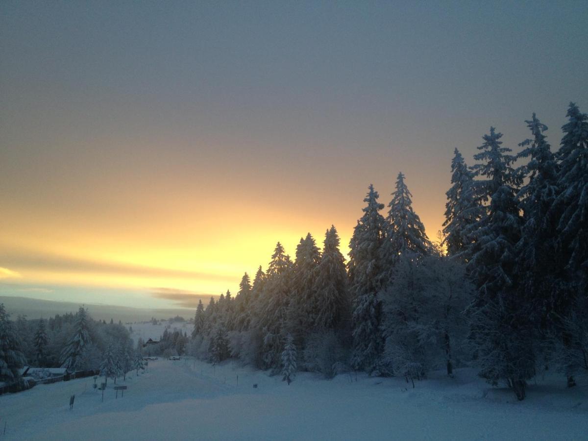 Les Gites De La Serva - Champ Du Feu - Montagnes- Vosges Belmont  Dış mekan fotoğraf