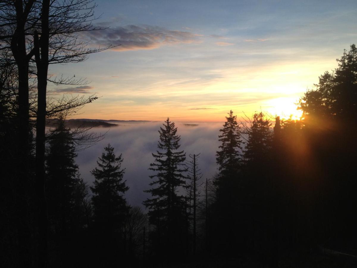 Les Gites De La Serva - Champ Du Feu - Montagnes- Vosges Belmont  Dış mekan fotoğraf