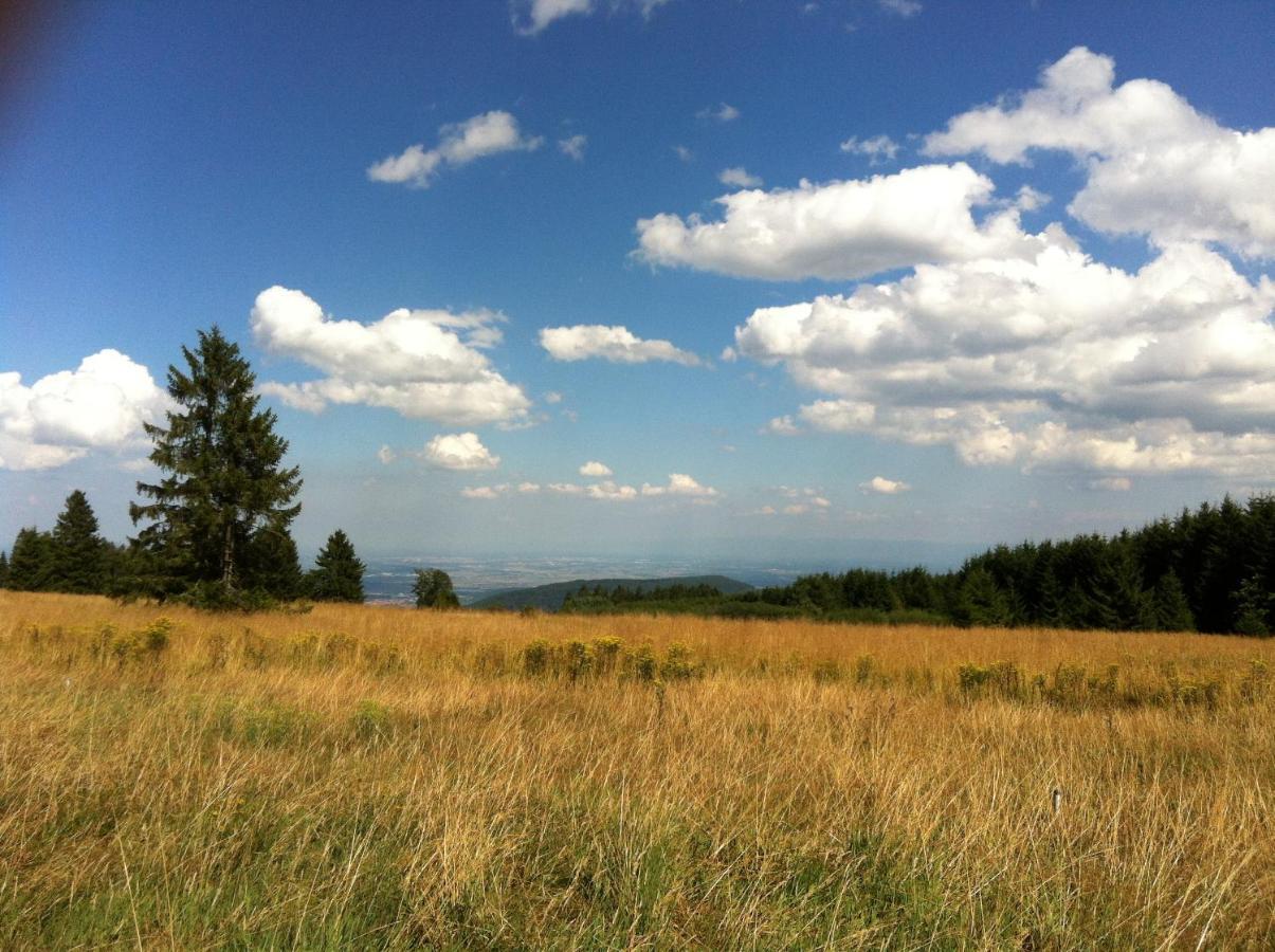 Les Gites De La Serva - Champ Du Feu - Montagnes- Vosges Belmont  Dış mekan fotoğraf
